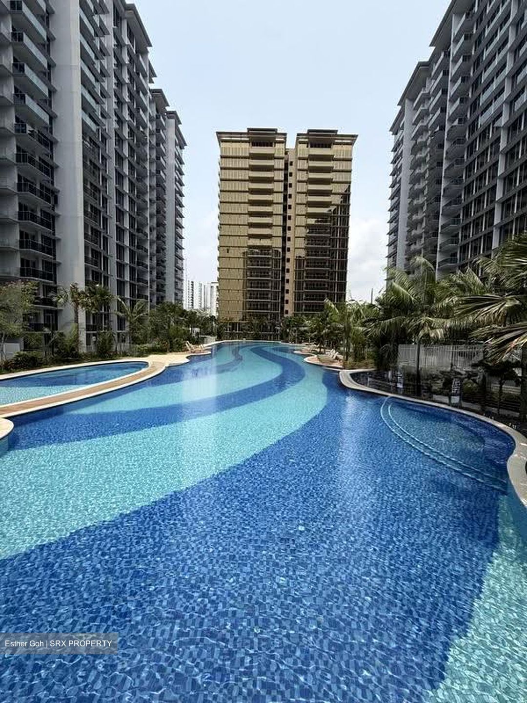 Grand Dunman (D15), Apartment #619841811